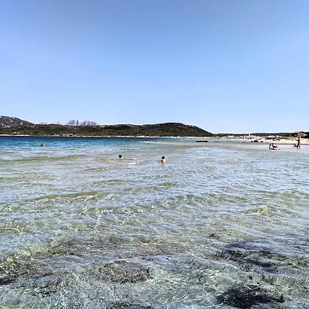 Studio's Pavese Apartamento *