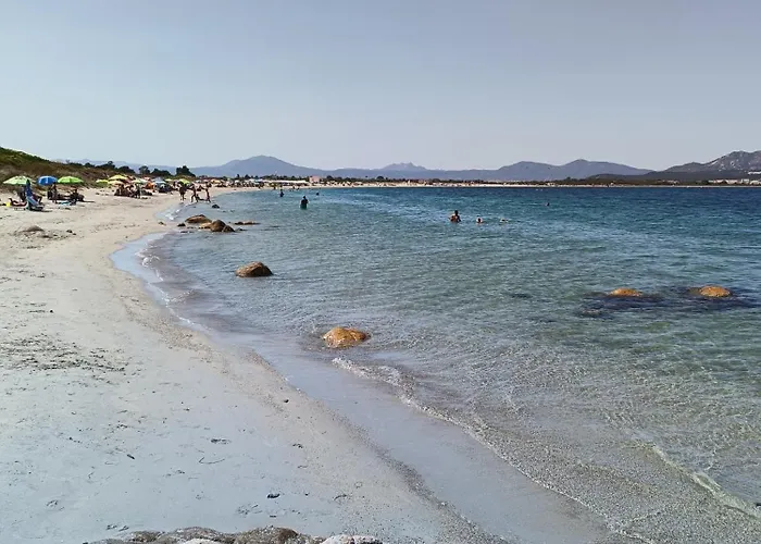 公寓 Studio's Pavese *