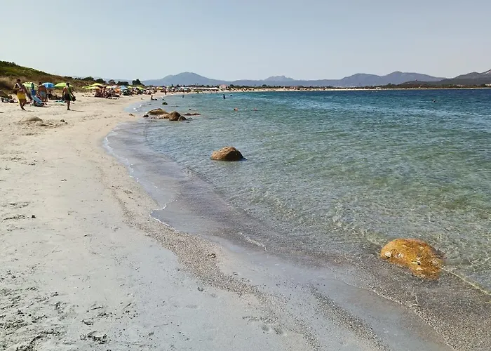 Studio's Pavese 公寓 奧爾比亞