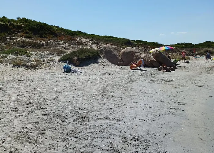 Studio's Pavese * 奧爾比亞