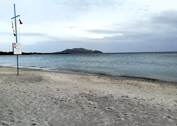 Studio's Pavese 奧爾比亞