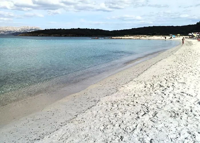 Studio's Pavese 奧爾比亞