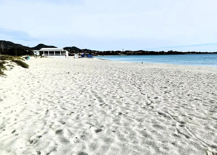 Studio's Pavese 公寓 奧爾比亞