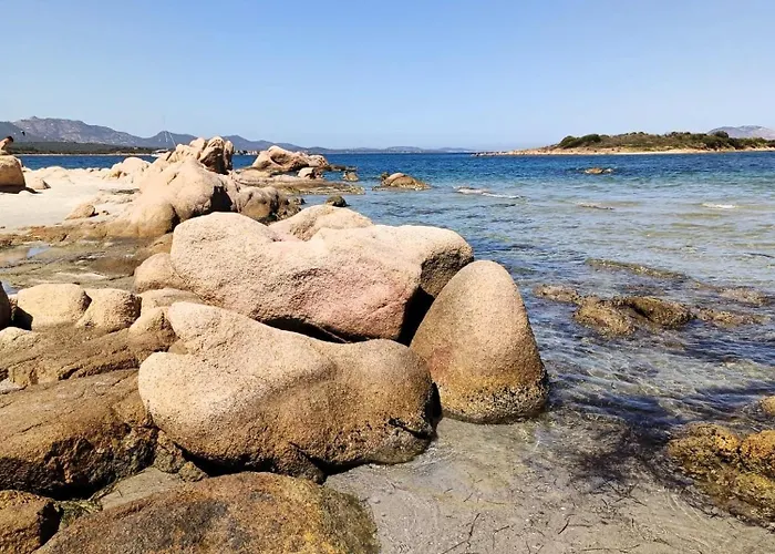 公寓 Studio's Pavese 奧爾比亞