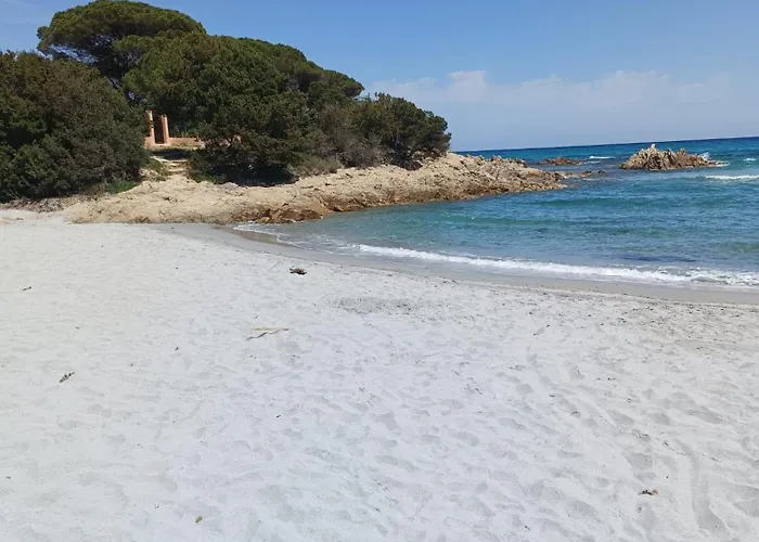 Studio's Pavese 奧爾比亞