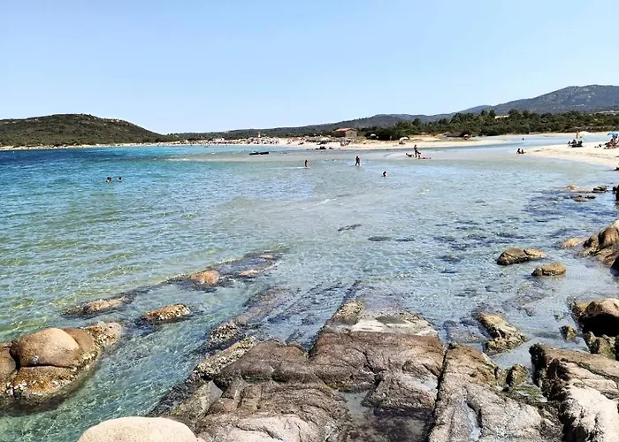 Studio's Pavese 公寓 奧爾比亞