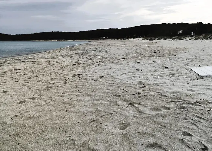 公寓 Studio's Pavese 奧爾比亞