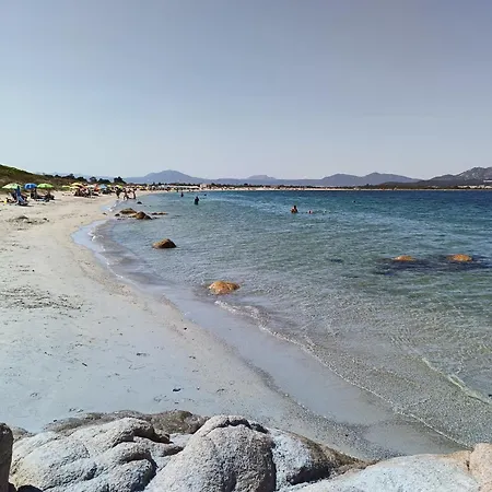 Daire Studio's Pavese *