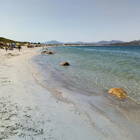 Studio's Pavese דירה אולביה