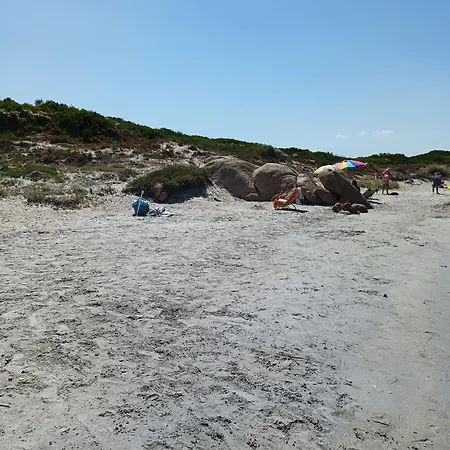 Studio's Pavese * אולביה