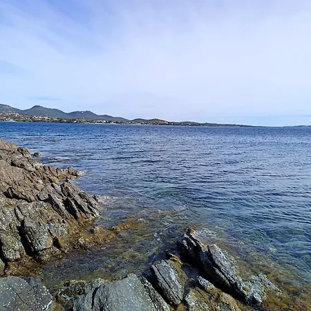 Studio's Pavese Daire Olbia