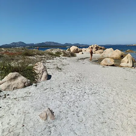 Studio's Pavese * אולביה