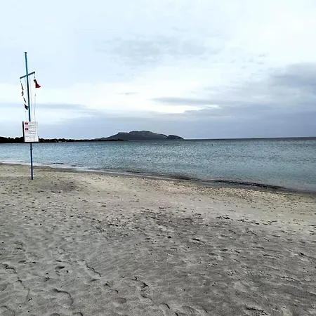 Studio's Pavese אולביה