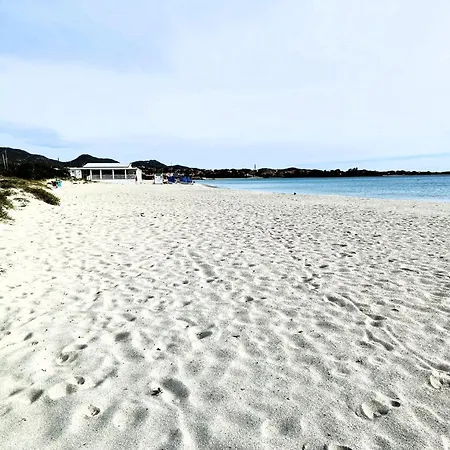 Studio's Pavese דירה אולביה