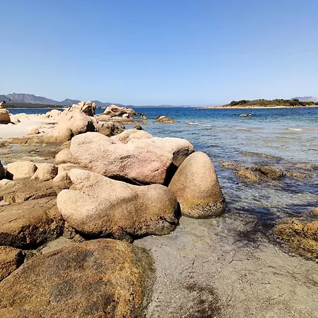 Daire Studio's Pavese Olbia