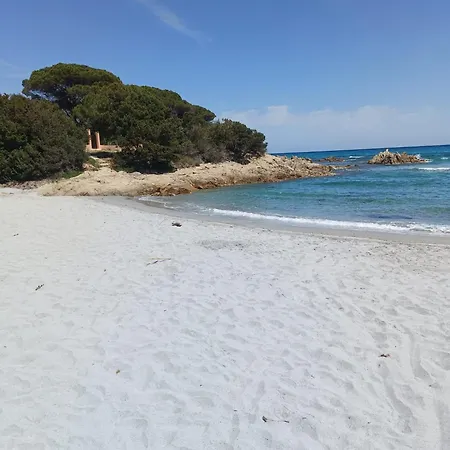 Studio's Pavese אולביה