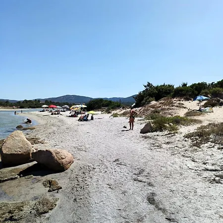 Studio's Pavese דירה *