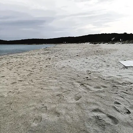 Daire Studio's Pavese Olbia