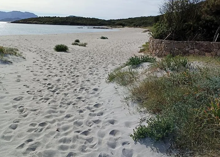 Appartement Studio's Pavese