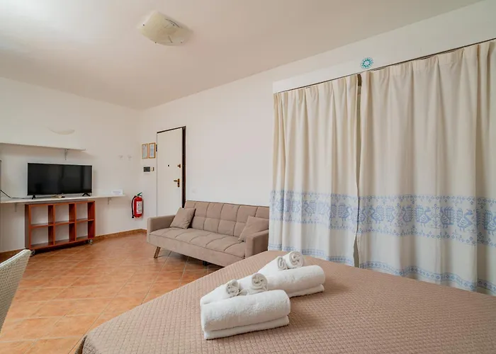 Studio's Pavese Olbia